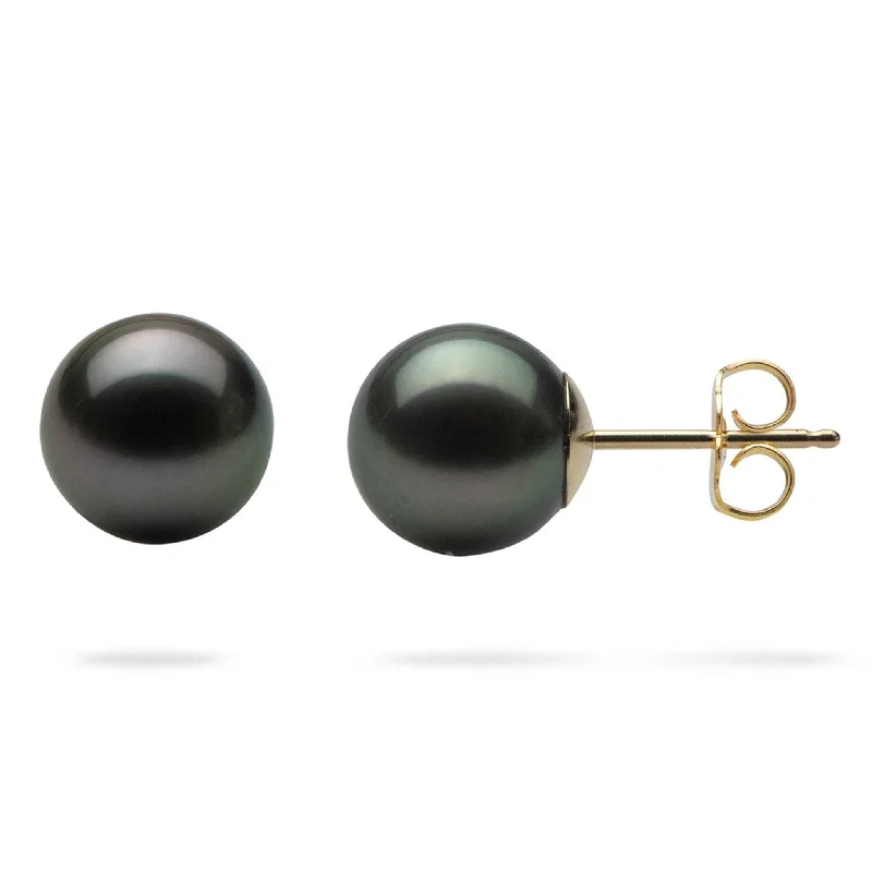 Tahitian Black Pearl Earrings in Gold - 9-10mm