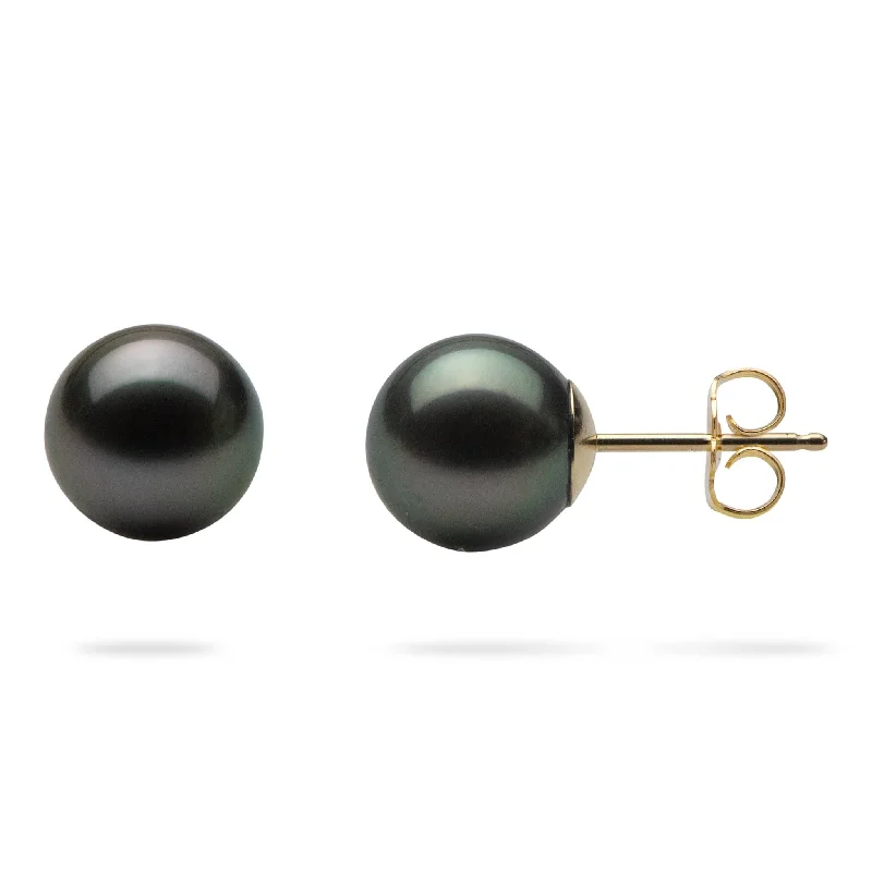 Tahitian Black Pearl Earrings in Gold - 9-10mm